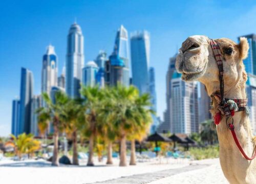 Eco-Friendly Travel in the UAE: Sustainable Tourism Tips